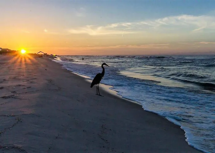 Beachclub-c807-beachfront-condo * Gulf Shores
